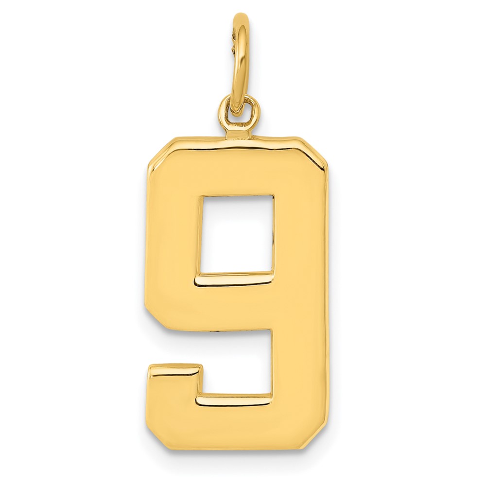 Picture of Finest Gold 10K Yellow Gold Casted Large Polished Number 9 Charm