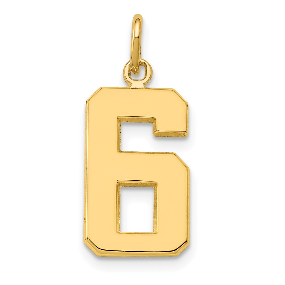 Picture of Finest Gold 10K Yellow Gold Casted Medium Polished Number 6 Charm