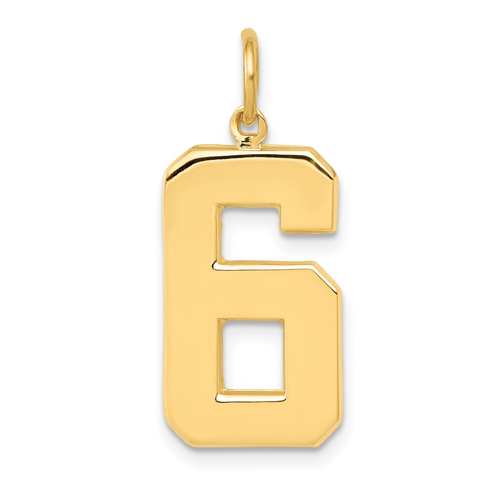 Picture of Finest Gold 10K Yellow Gold Casted Large Polished Number 6 Charm
