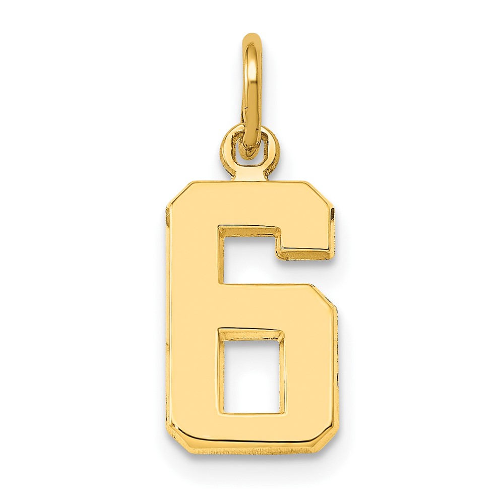 Picture of Finest Gold 10K Yellow Gold Casted Small Polished Number 6 Charm
