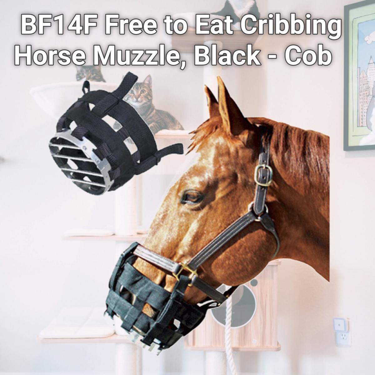 Picture of Best Friend BF14F Free to Eat Cribbing Horse Muzzle, Black - Cob