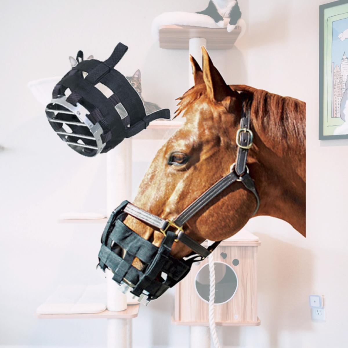 Picture of Best Friend BF14F Free to Eat Cribbing Horse Muzzle, Black - Cob
