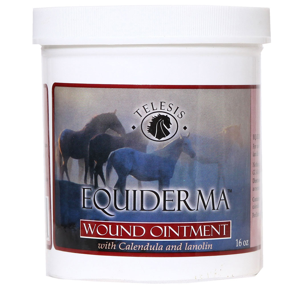Picture of Equiderma TAH004 16 oz Calendula & Neem Wound Ointment for Horses