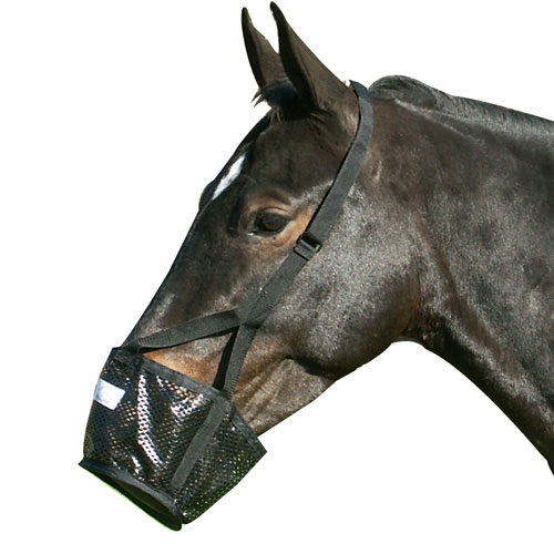 Picture of Best Friend BF026 Soft Stall Horse Muzzle - Cob