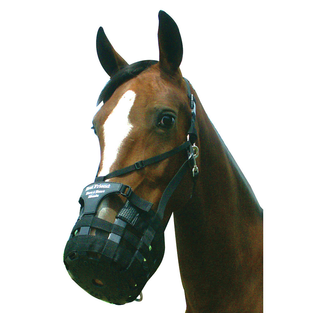 Picture of Best Friend BF21 Have a Heart Grazing Muzzle for Horse
