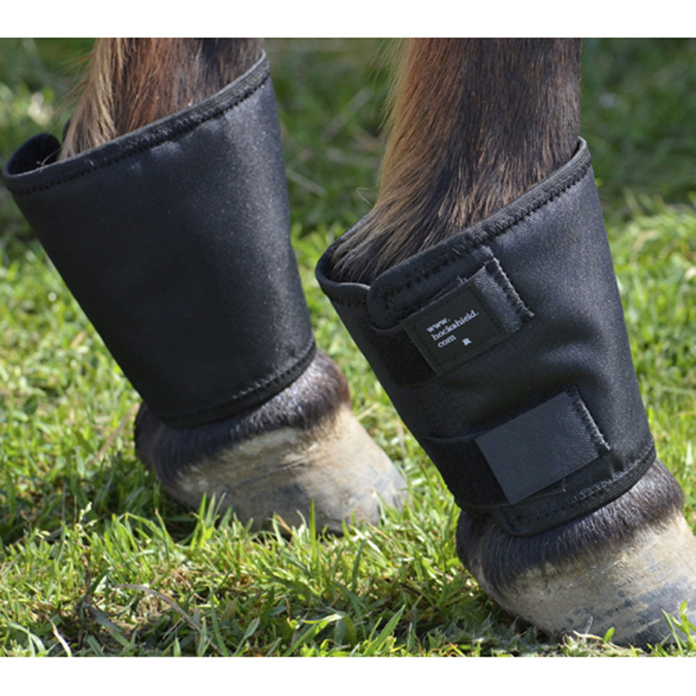 Picture of Hock Shield CHFS Fetlock Shield Horse Leg Protection