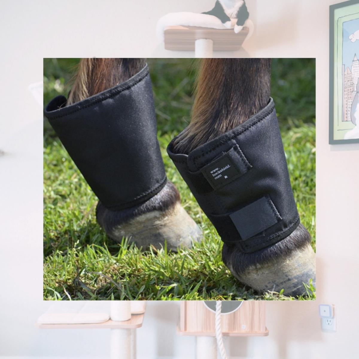 Picture of Hock Shield CHFS Fetlock Shield Horse Leg Protection