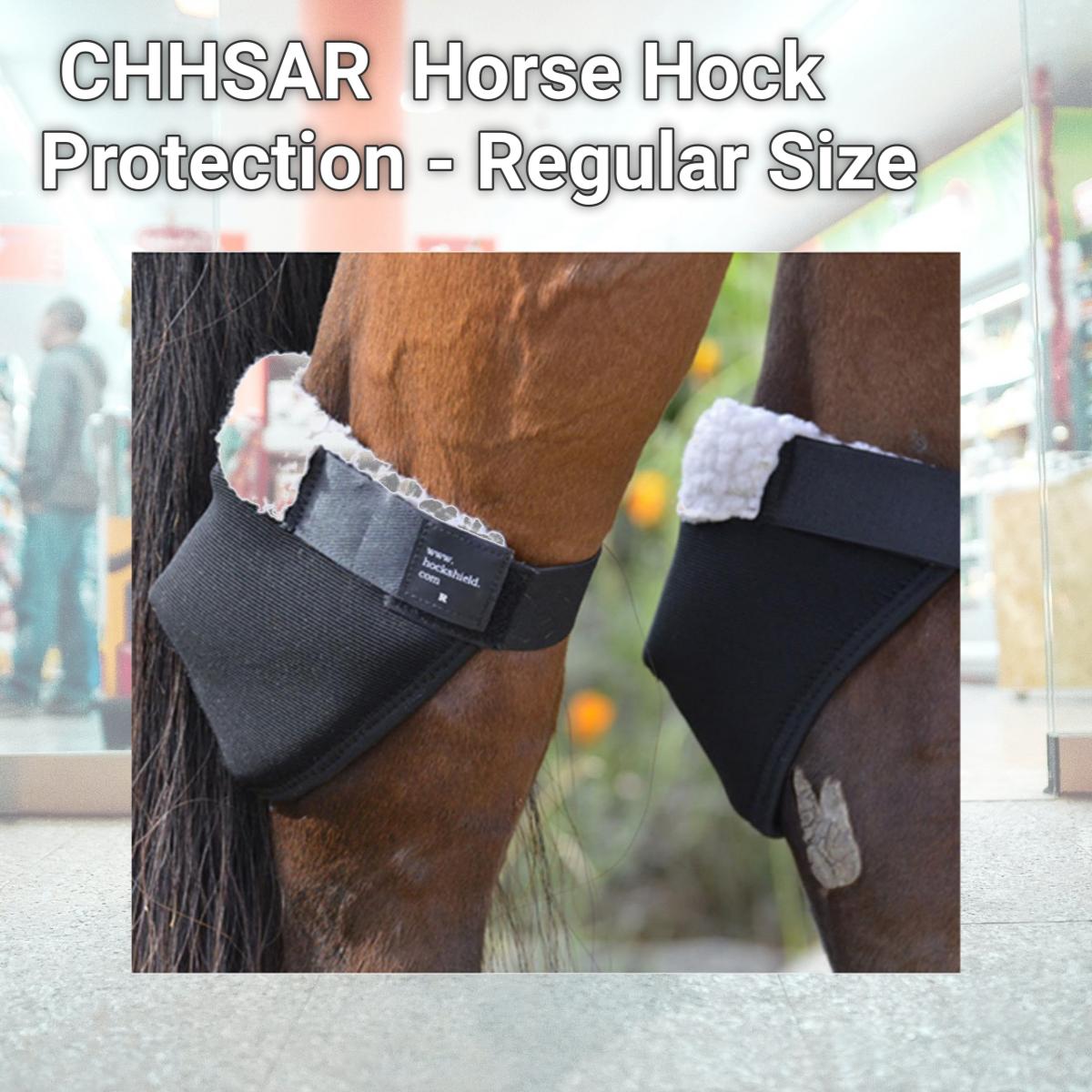 Picture of Hock Shield CHHSAR Hock Shield Horse Hock Protection - Regular Size