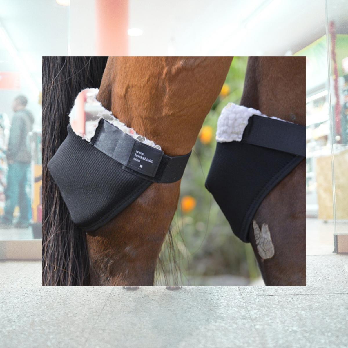 Picture of Hock Shield CHHSAR Hock Shield Horse Hock Protection - Regular Size