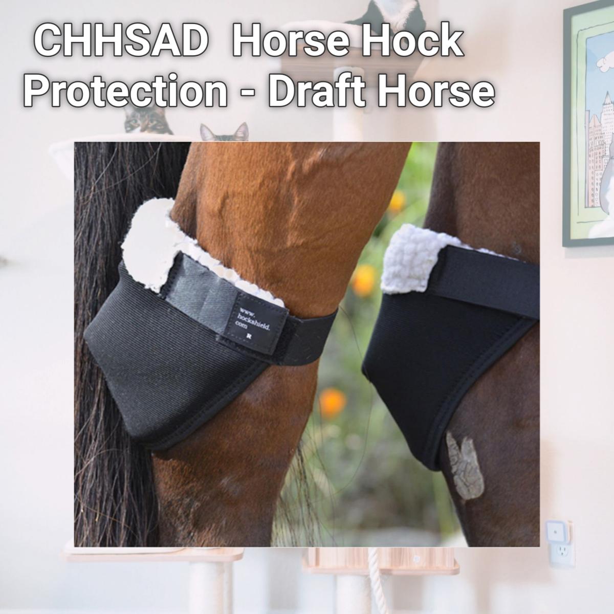 Picture of Hock Shield CHHSAD Hock Shield Horse Hock Protection - Draft Horse