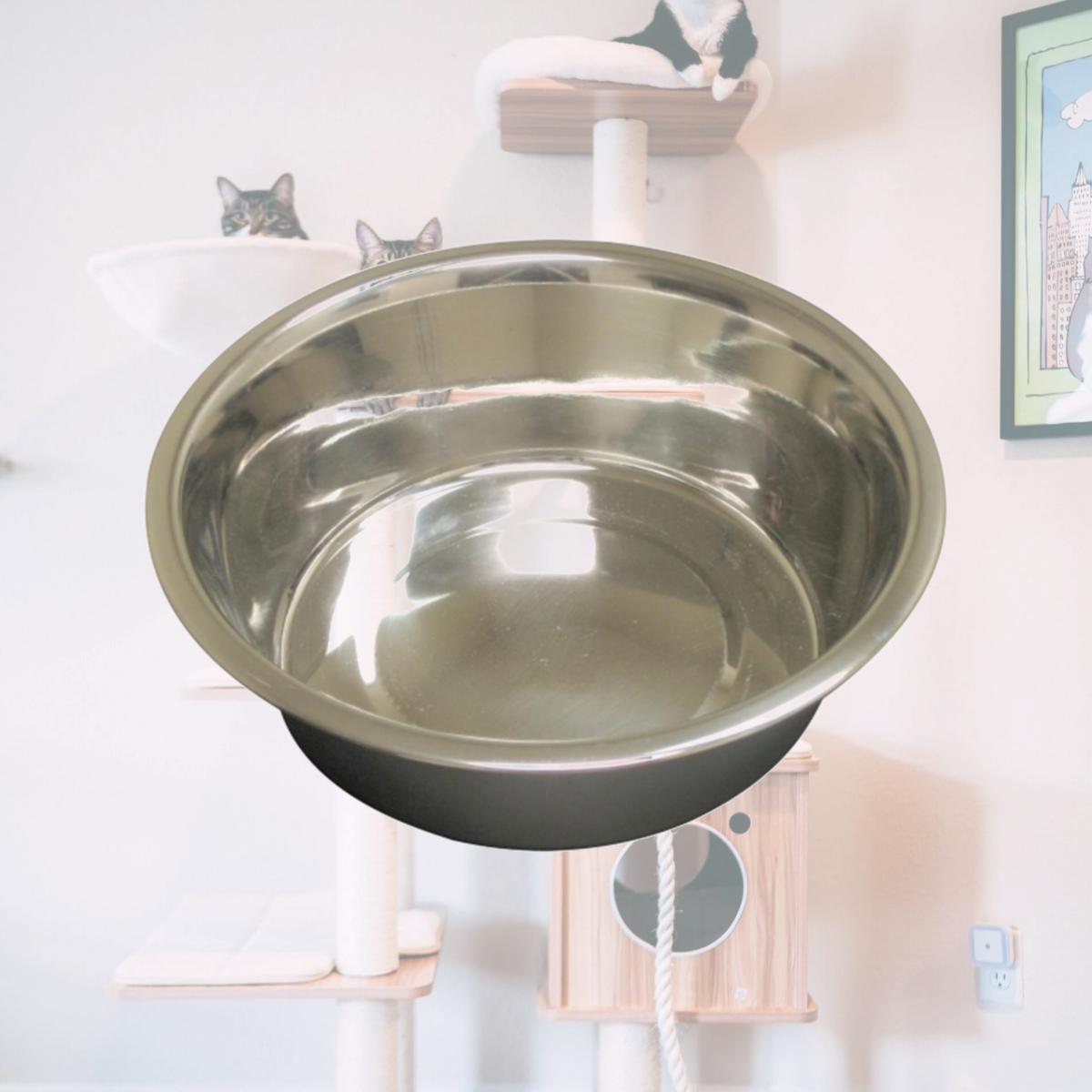 Picture of QT Dog 3543 Embossed Rim Small 1 qt Stainless Steel Feeding Bowl