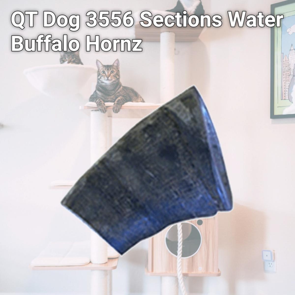 Picture of QT Dog 3556 Sections Water Buffalo Hornz