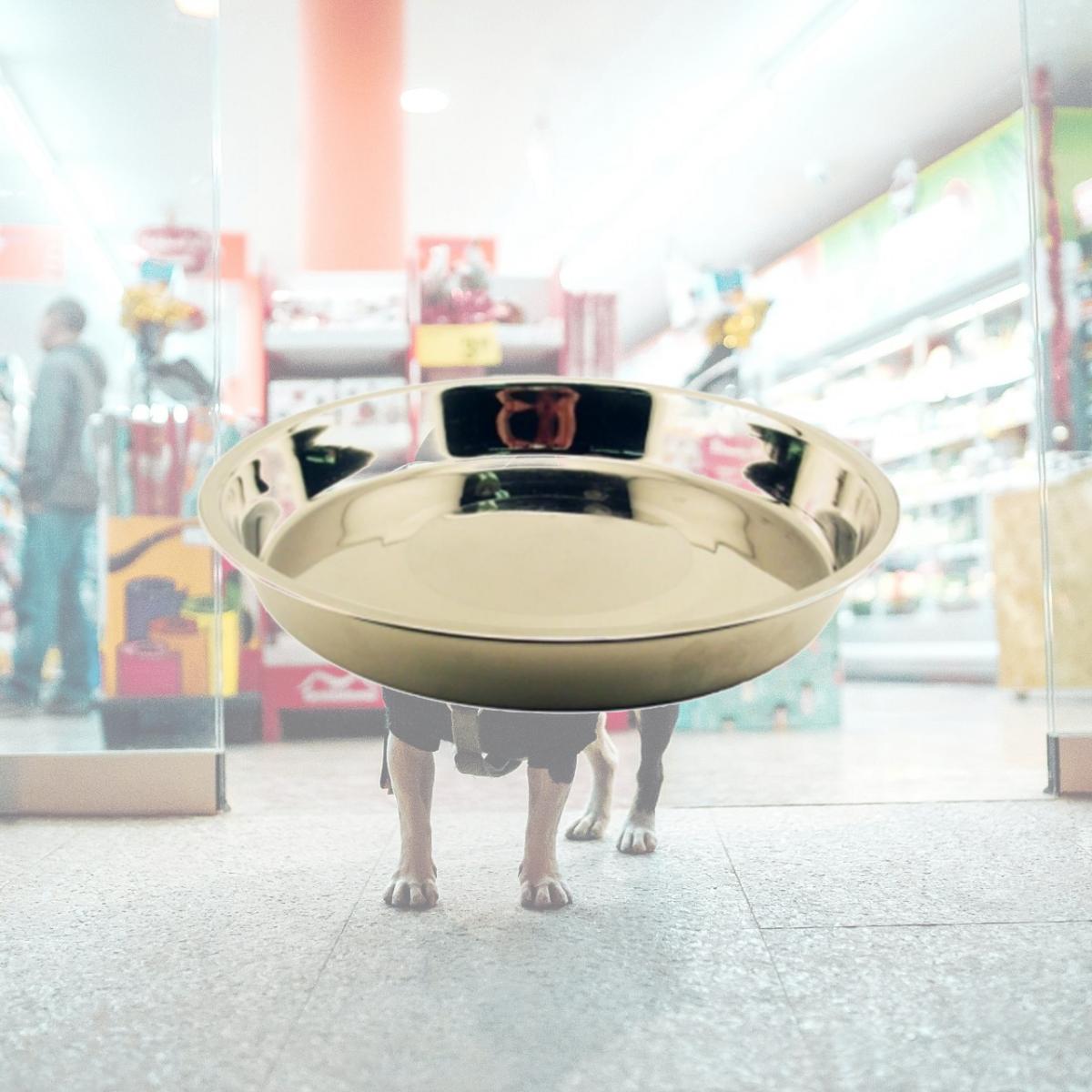 Picture of QT Dog SS0249 14&quot; Puppy Pan - Stainless Steel