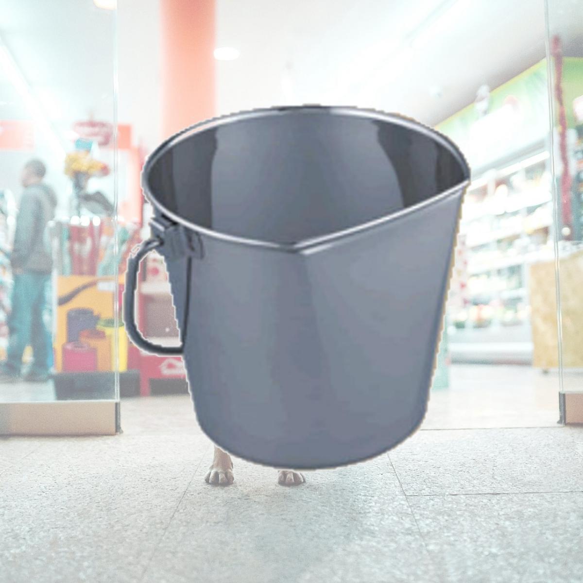 Picture of QT Dog SS0223 6 Quart Flat Sided Bucket