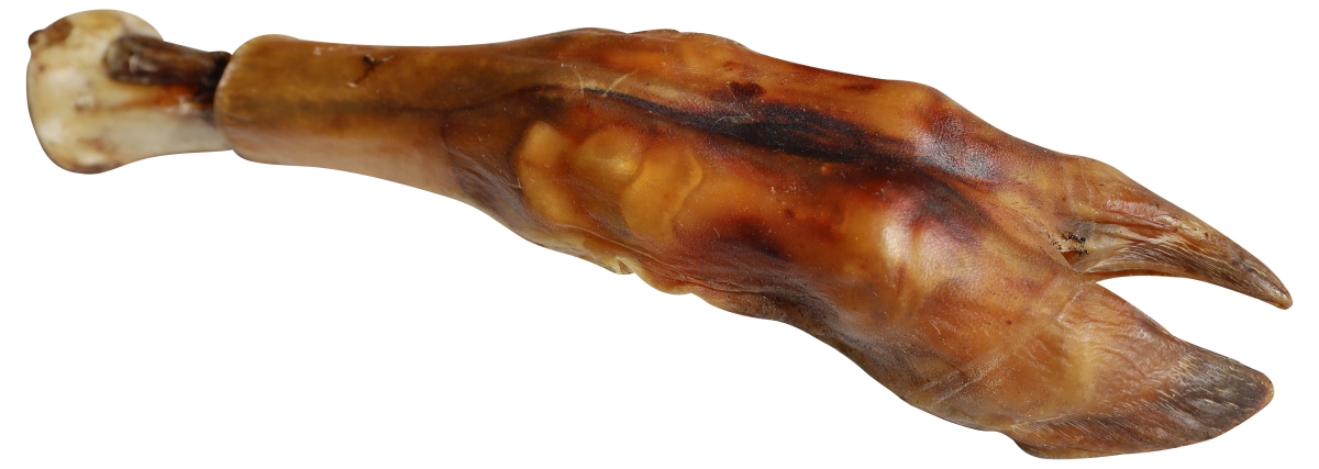 3401 Water Buffalo Shin Bone/ Trotter