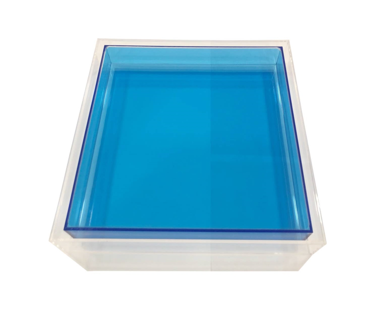 Neon Encased Lucite Tray, Blue