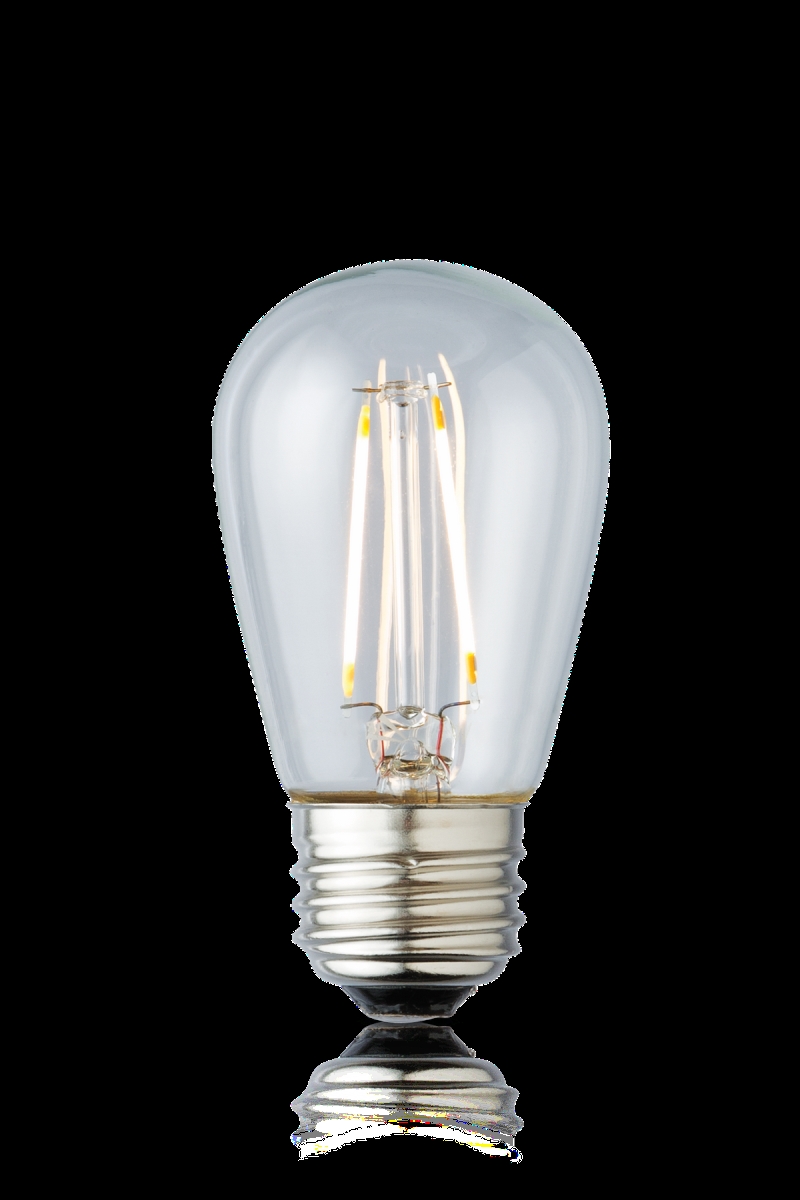 Picture of Archipelago Lighting LTS14C15024MB S14 1.5W 2400K Decor Lamp Bulb, Clear