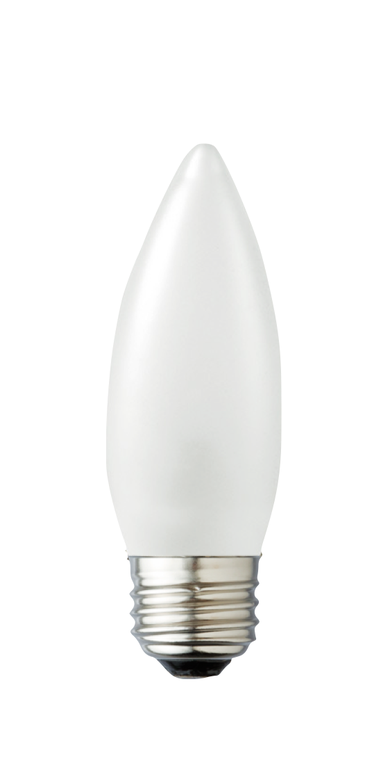 Picture of Archipelago Lighting LTB10F50027MB B10 4.5W 2700K E26 Decor Lamp Bulb, Frosted