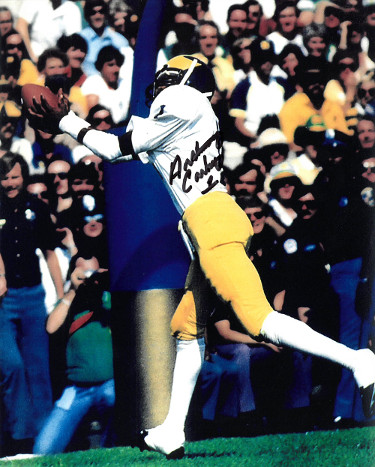 CTBL-028043 Anthony Carter Signed Michigan Wolverines 16 x 20 in. Photo No.1 - TD Catch