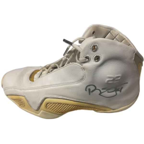 CTBL-039611 Cavaliers-2016 NBA Champs-Nets-Wildcats Richard Jefferson Signed Nike Air Jordan XX7 Left Basketball Shoe - COA -  RDB Holdings & Consulting, CTBL_039611