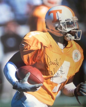 Picture of Athlon CTBL-003635a Donte Stallworth Signed Tennessee Vols 16 x 20 Photo