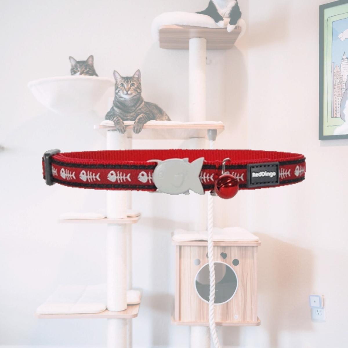 Picture of Red Dingo CC-SK-RE-12 Red Dingo Cat Collar Fish Bone Red