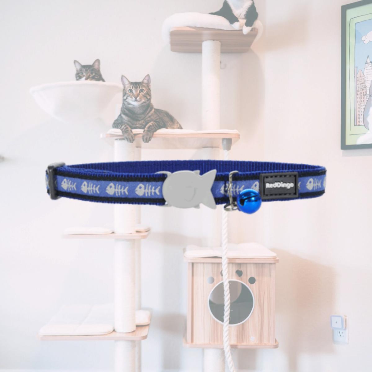 Picture of Red Dingo CC-SK-DB-12 Red Dingo Cat Collar Fish Bone Blue