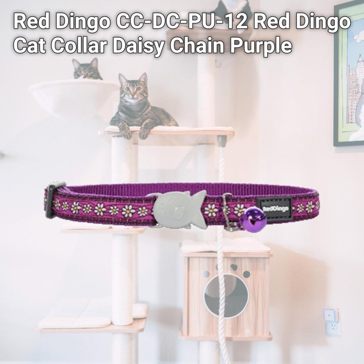 Picture of Red Dingo CC-DC-PU-12 Red Dingo Cat Collar Daisy Chain Purple