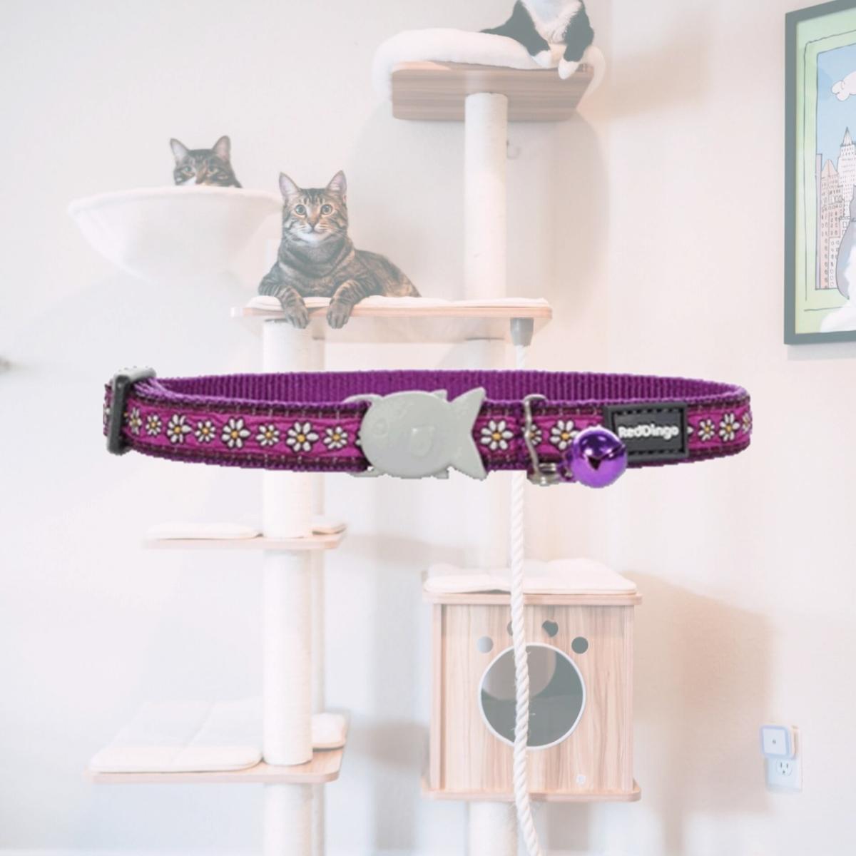 Picture of Red Dingo CC-DC-PU-12 Red Dingo Cat Collar Daisy Chain Purple