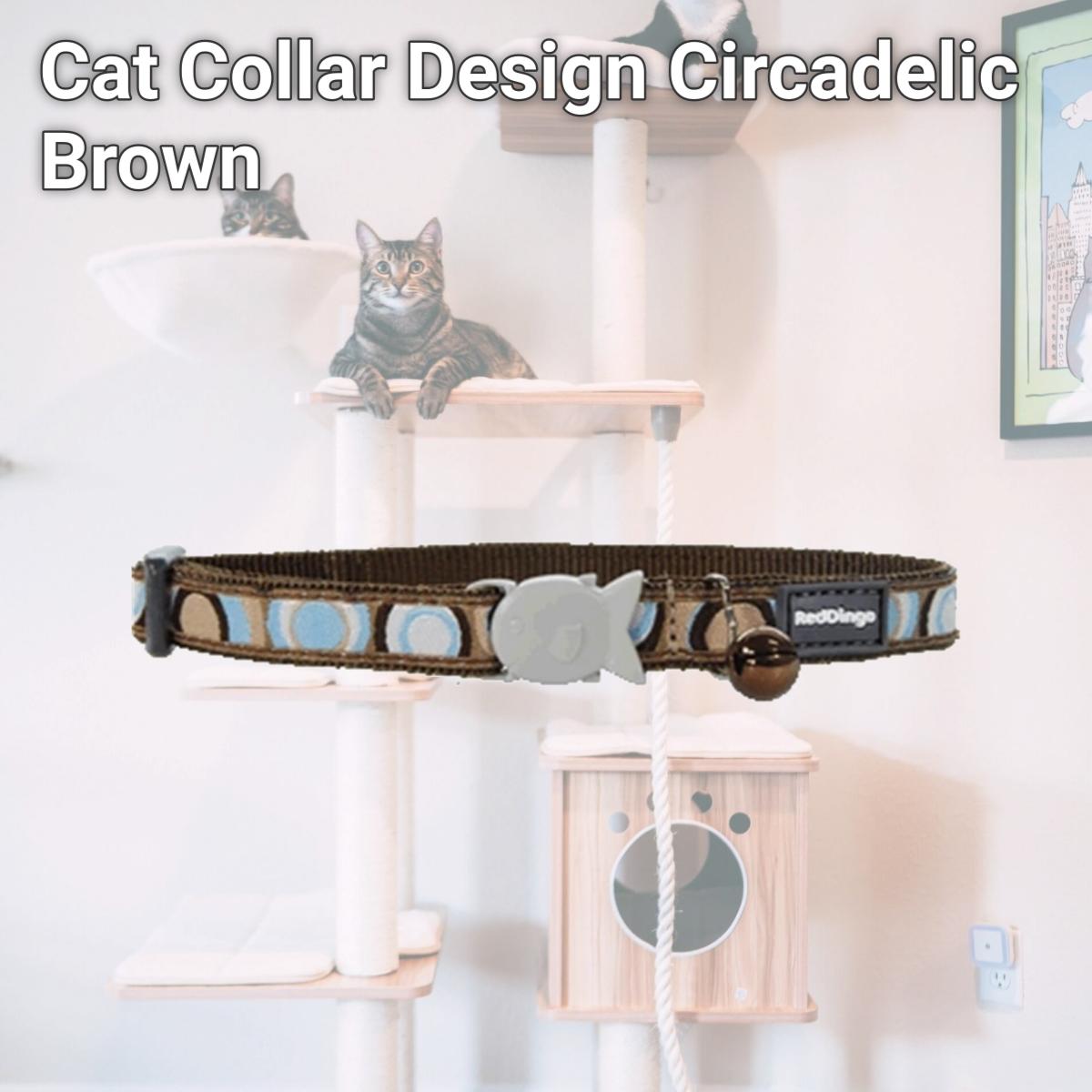 Picture of Red Dingo CC-CI-BR-12 Red Dingo Cat Collar Circadelic Brown