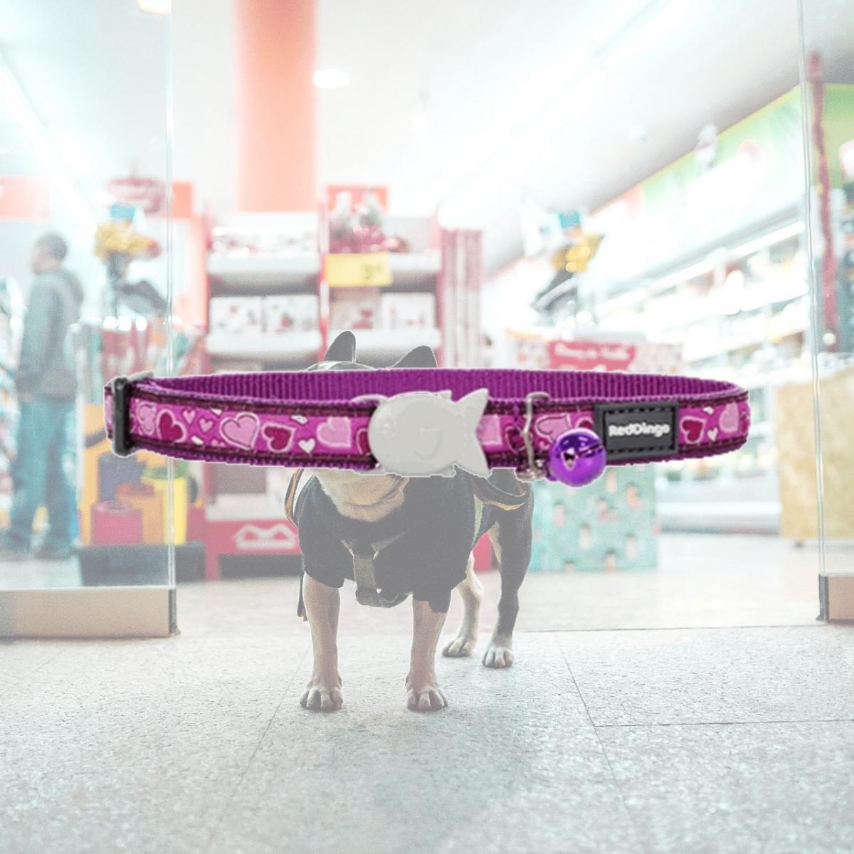 Picture of Red Dingo CC-BZ-PU-12 Red Dingo Cat Collar Breezy Love Purple