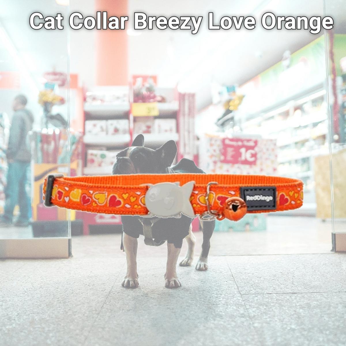 Picture of Red Dingo CC-BZ-OR-12 Red Dingo Cat Collar Breezy Love Orange