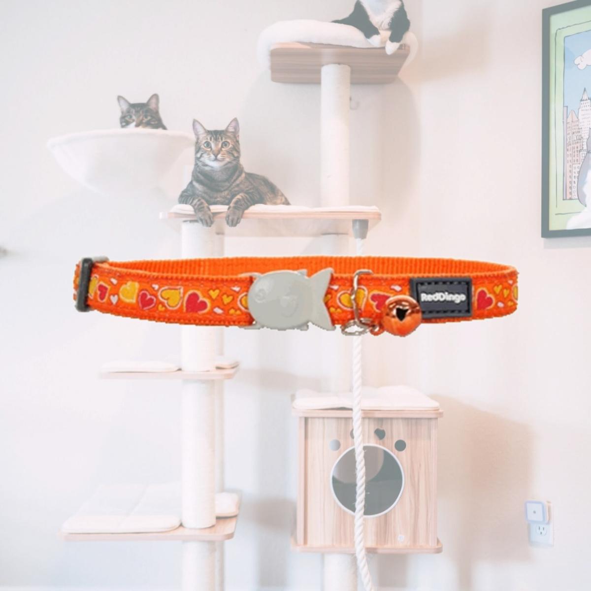 Picture of Red Dingo CC-BZ-OR-12 Red Dingo Cat Collar Breezy Love Orange