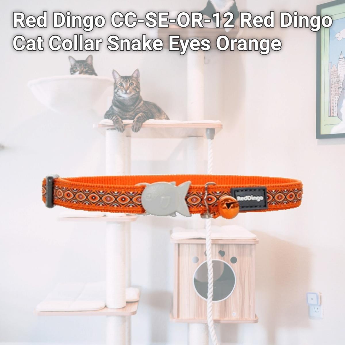 Picture of Red Dingo CC-SE-OR-12 Red Dingo Cat Collar Snake Eyes Orange