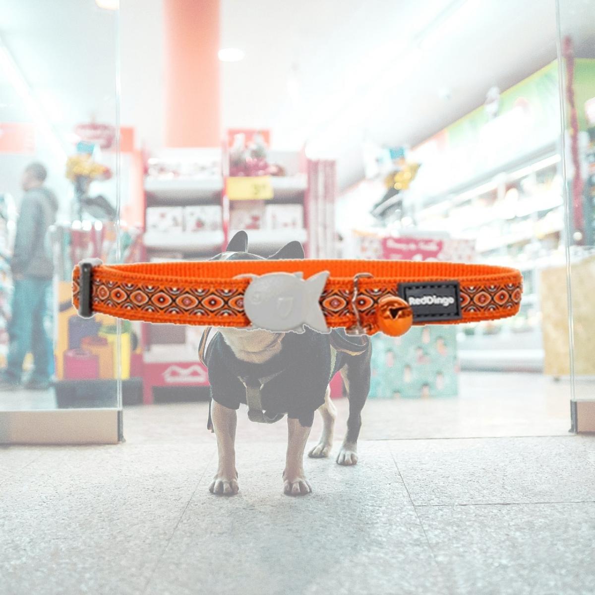 Picture of Red Dingo CC-SE-OR-12 Red Dingo Cat Collar Snake Eyes Orange
