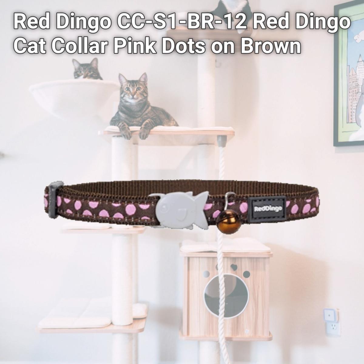 Picture of Red Dingo CC-S1-BR-12 Red Dingo Cat Collar Pink Dots on Brown