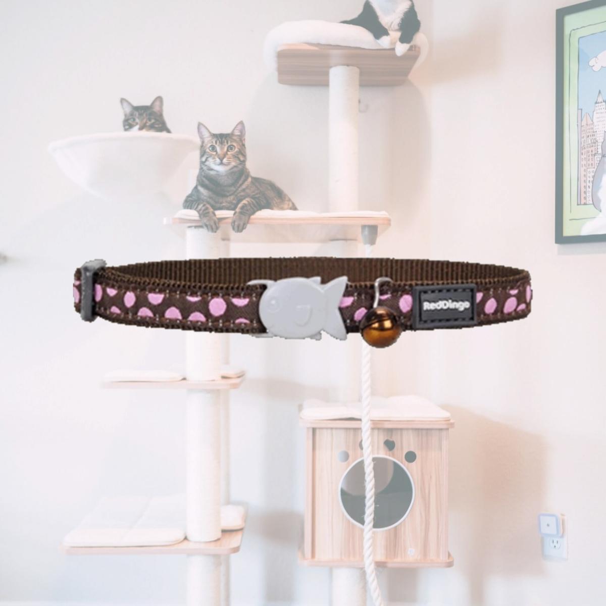 Picture of Red Dingo CC-S1-BR-12 Red Dingo Cat Collar Pink Dots on Brown