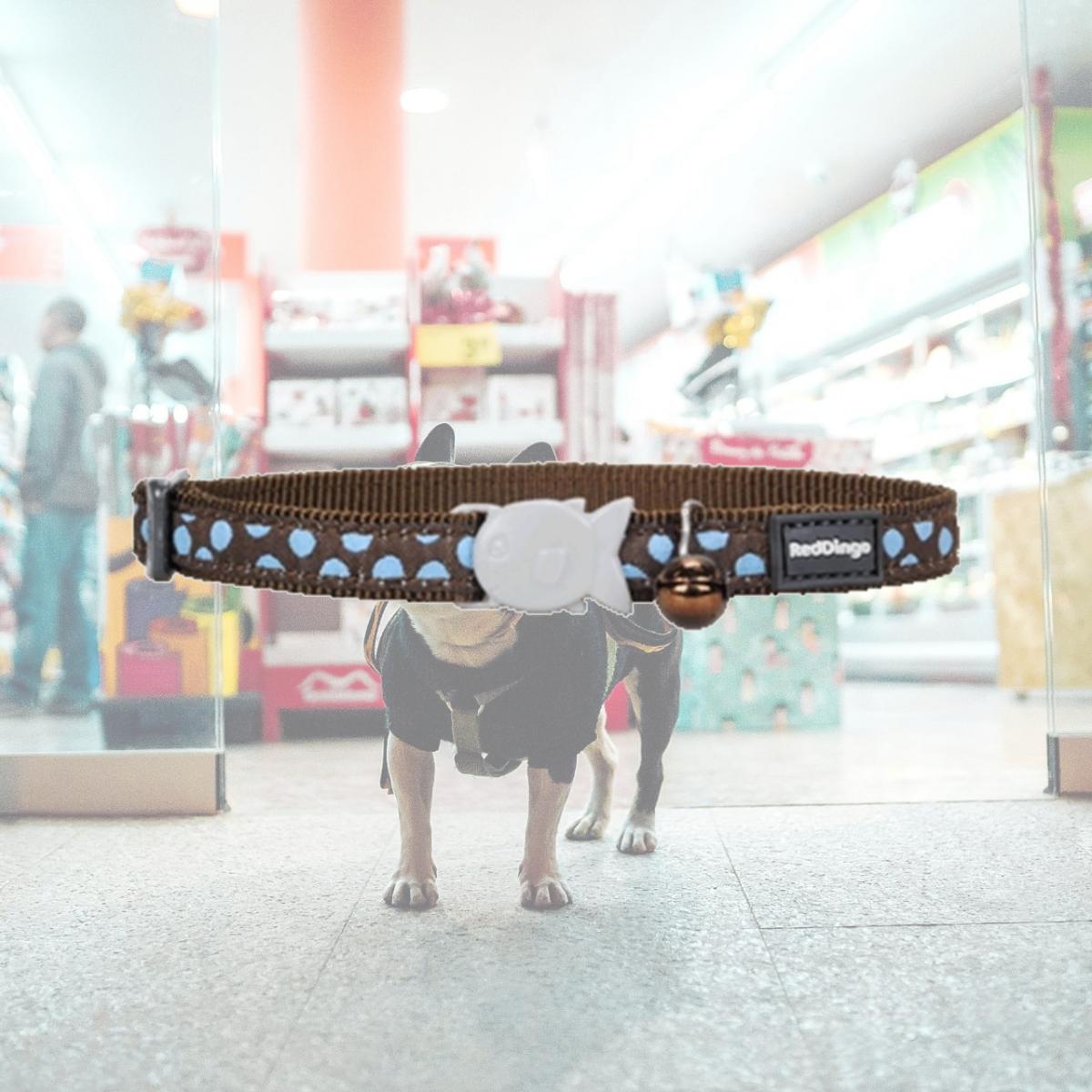 Picture of Red Dingo CC-S2-BR-12 Cat Collar Design Blue Dots on Brown