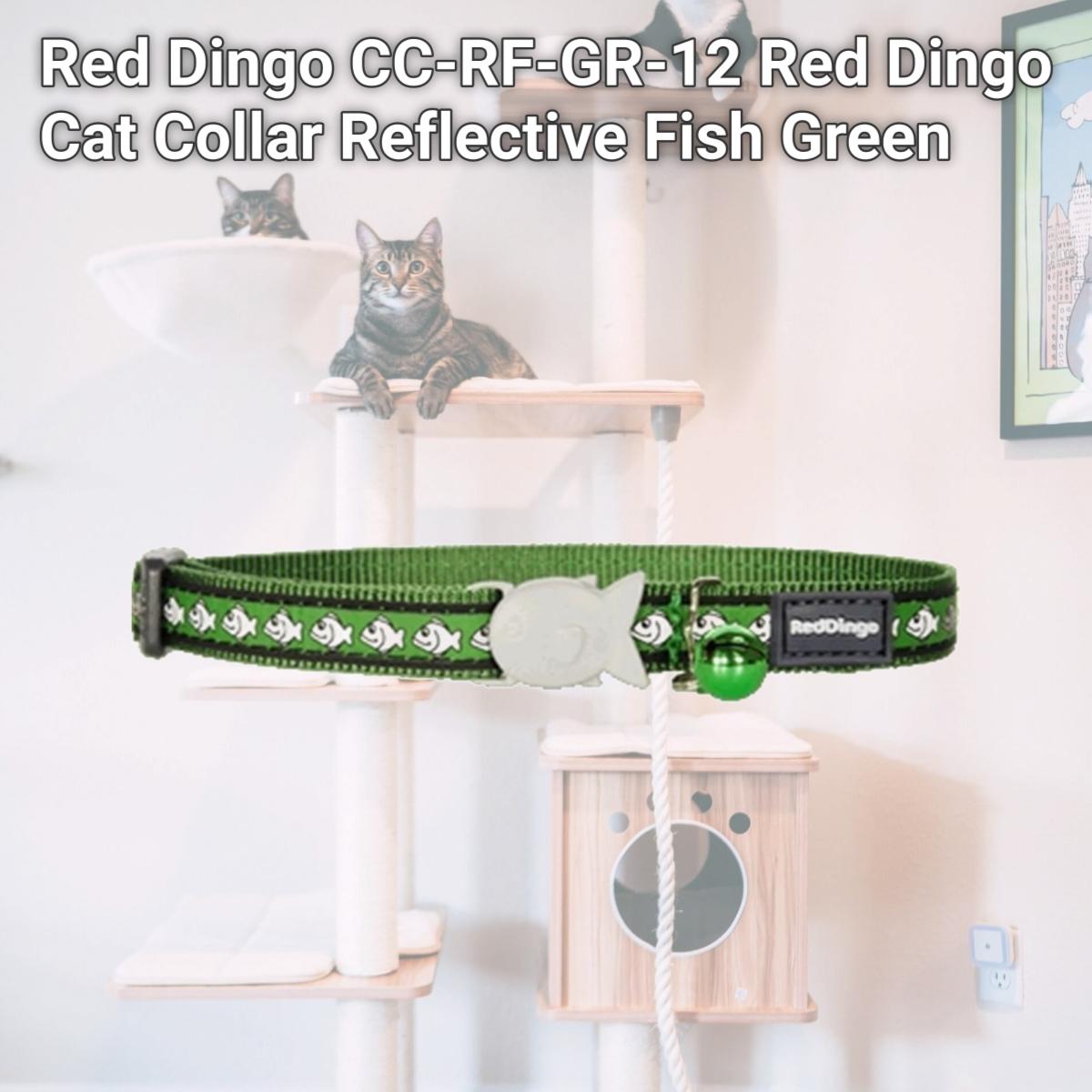 Picture of Red Dingo CC-RF-GR-12 Red Dingo Cat Collar Reflective Fish Green