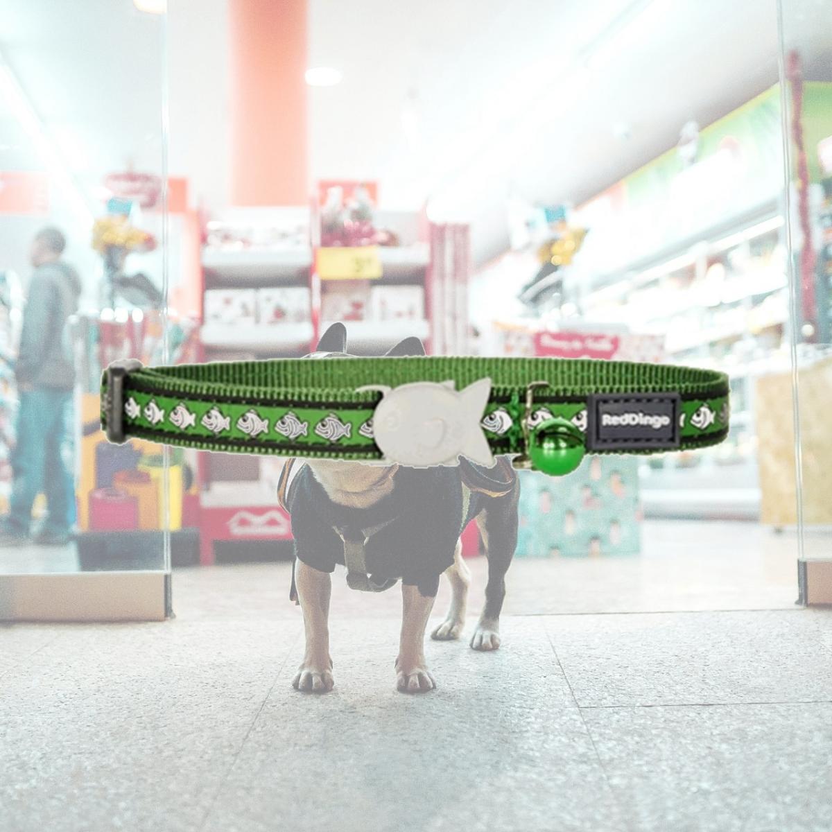 Picture of Red Dingo CC-RF-GR-12 Red Dingo Cat Collar Reflective Fish Green