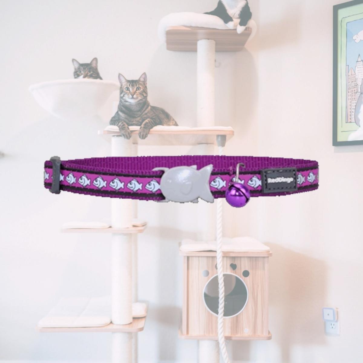 Picture of Red Dingo CC-RF-PU-12 Red Dingo Cat Collar Reflective Fish Purple