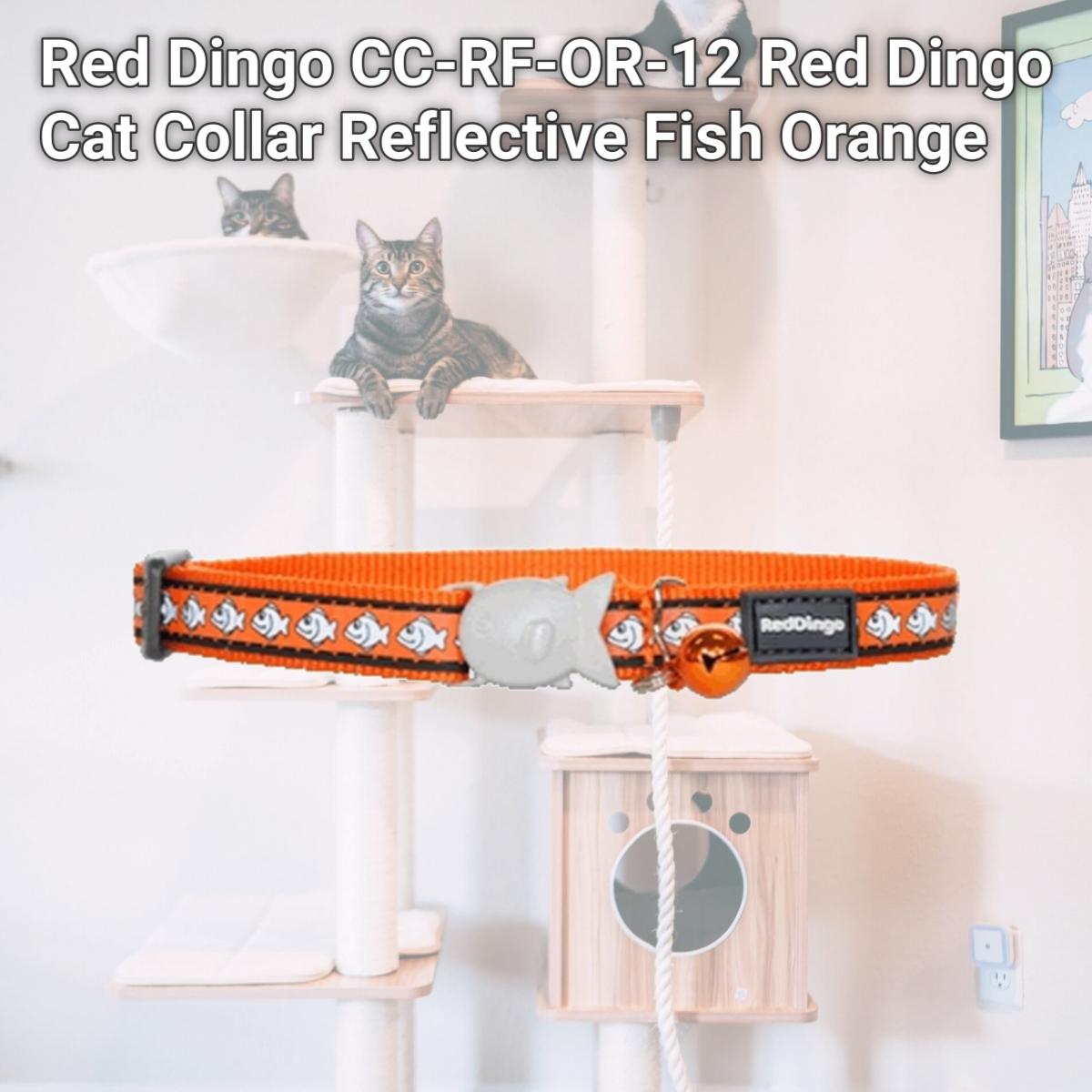 Picture of Red Dingo CC-RF-OR-12 Red Dingo Cat Collar Reflective Fish Orange