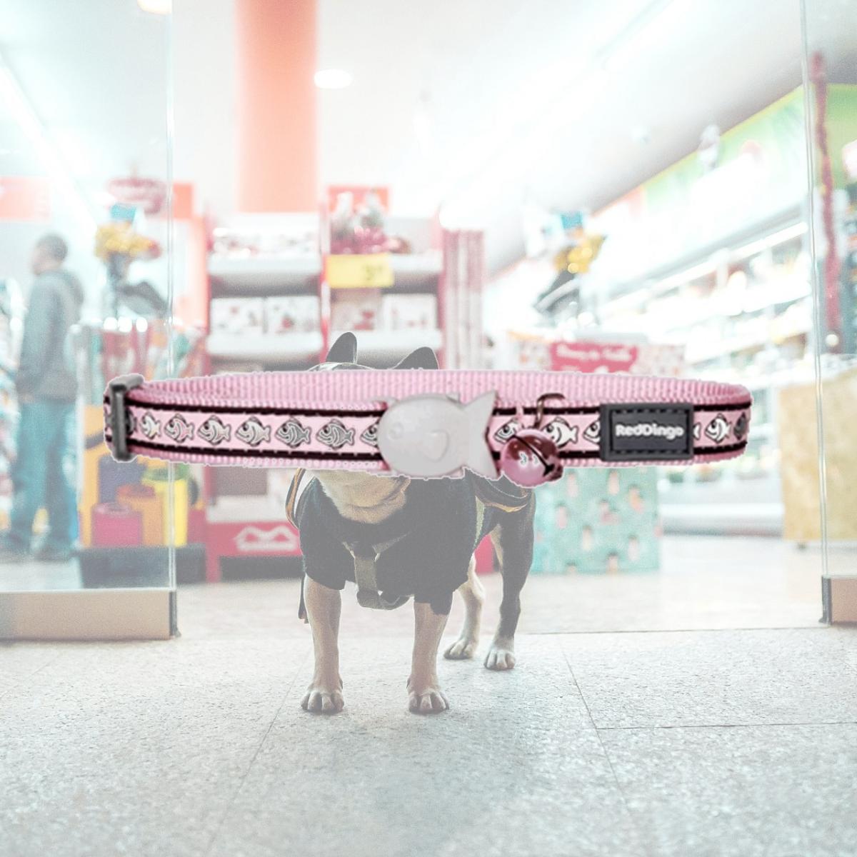 Picture of Red Dingo CC-RF-PK-12 Red Dingo Cat Collar Reflective Fish Pink
