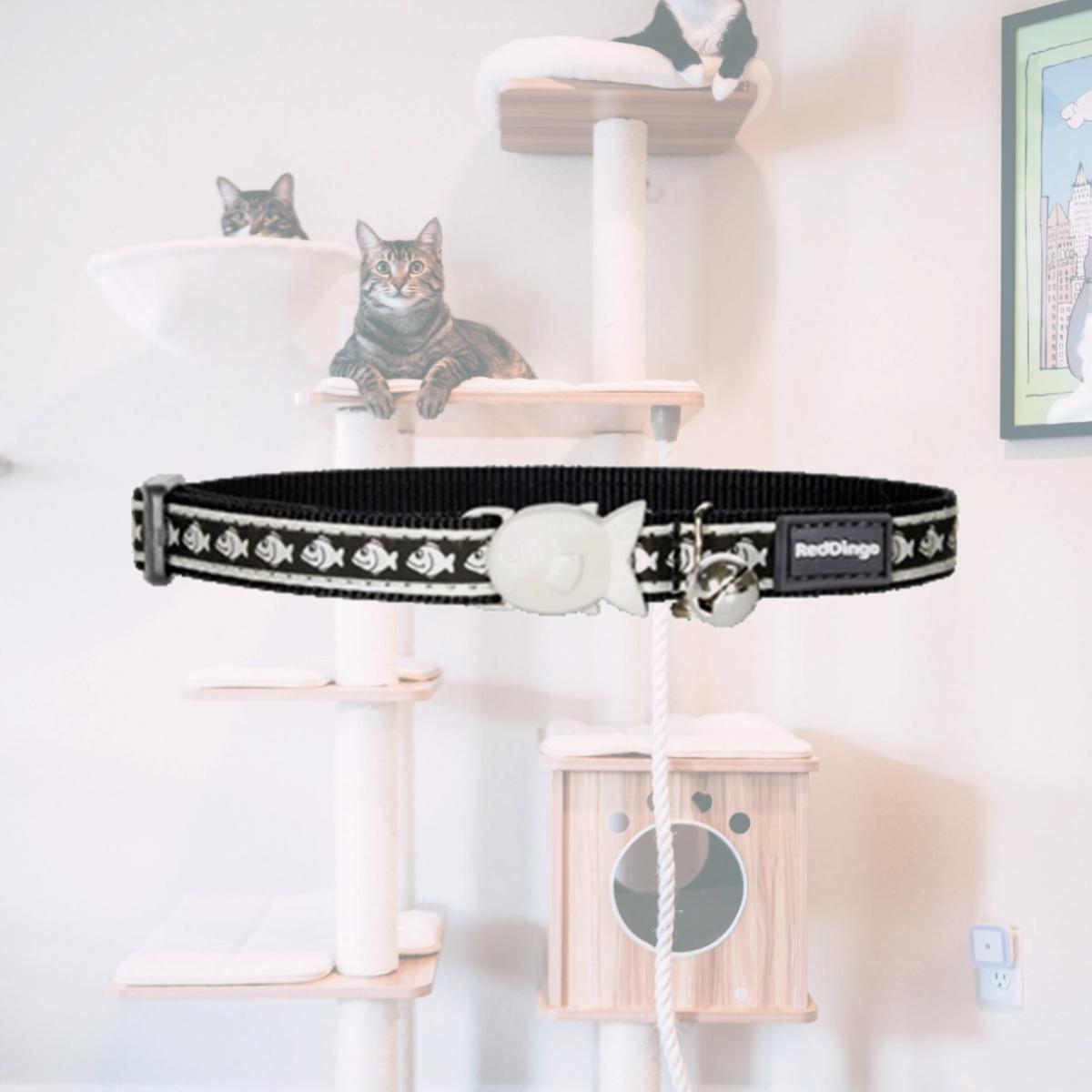 Picture of Red Dingo CC-RF-BB-12 Red Dingo Cat Collar Reflective Fish Black