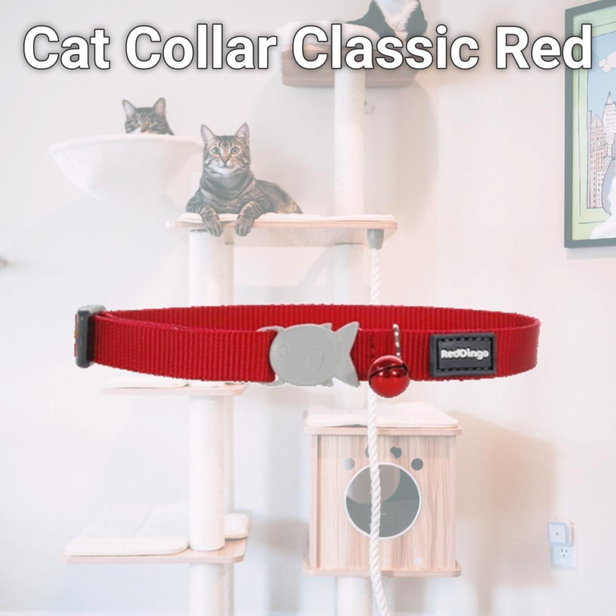 Picture of Red Dingo CC-ZZ-RE-12 Red Dingo Cat Collar Classic Red
