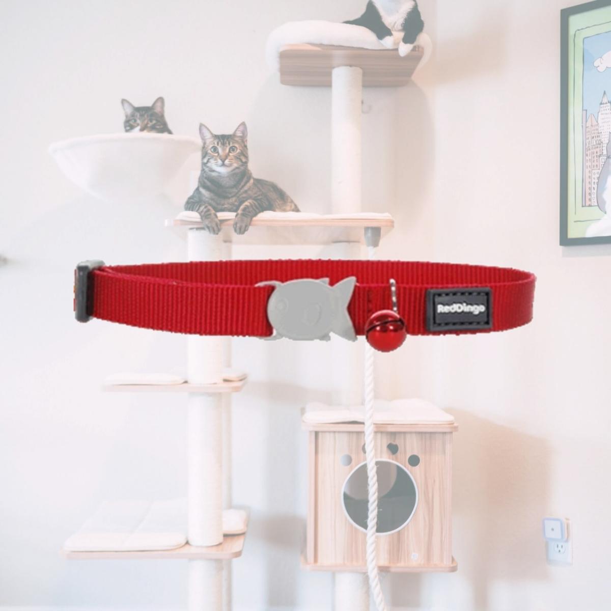 Picture of Red Dingo CC-ZZ-RE-12 Red Dingo Cat Collar Classic Red