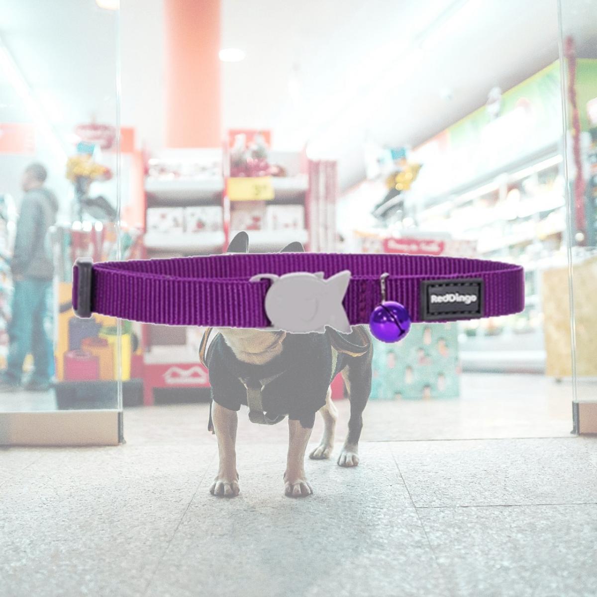 Picture of Red Dingo CC-ZZ-PU-12 Red Dingo Cat Collar Classic Purple