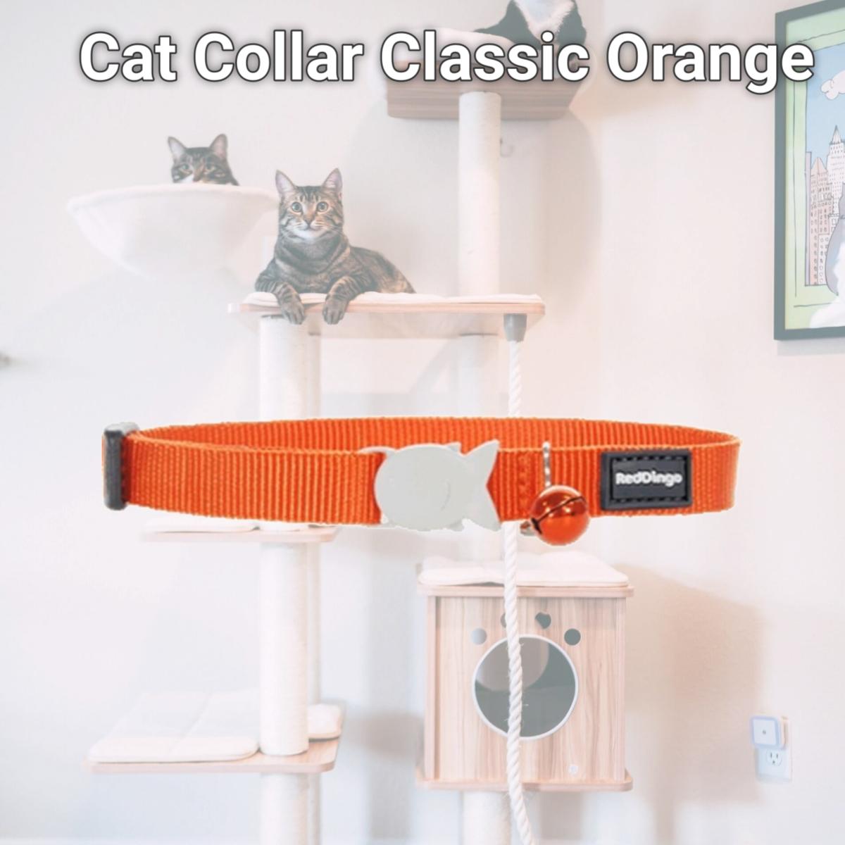 Picture of Red Dingo CC-ZZ-OR-12 Red Dingo Cat Collar Classic Orange