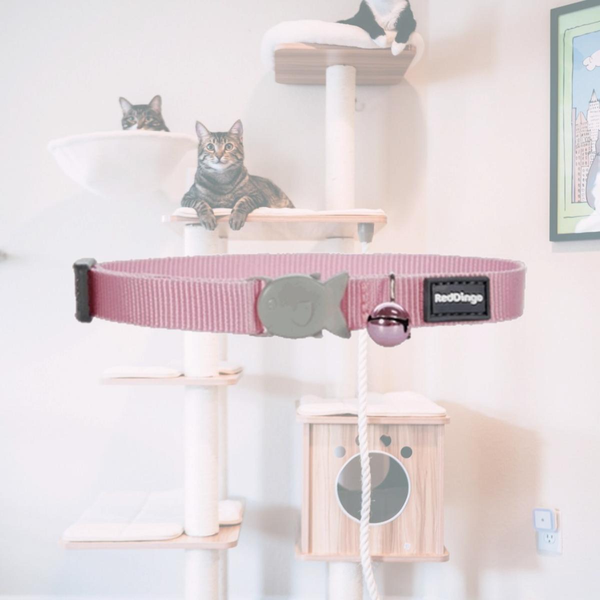 Picture of Red Dingo CC-ZZ-PK-12 Red Dingo Cat Collar Classic Pink