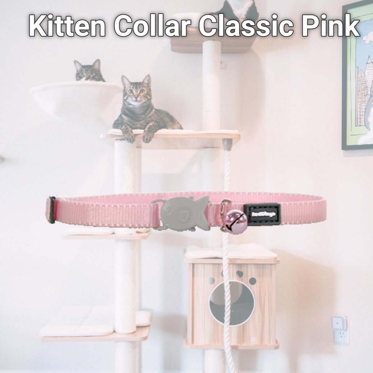 Picture of Red Dingo CC-ZZ-PK-XS Kitten Collar Classic Pink